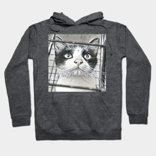 SELFIE CAT BLACK AND WHITE Hoodie